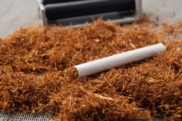 A rolled cigarette against the backdrop of tobacco