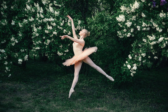 Fototapeta Young woman in white tutu dancing in the green flowers landscape. Beautiful ballerina showing classic ballet poses and jumping high into the air. Concept of female tenderness and harmony life.