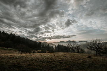 Foggy landscape with mountains and trees and sunset