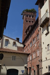 Particolare di Lucca