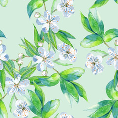 Background cherry branch with flowers. Seamless pattern. 