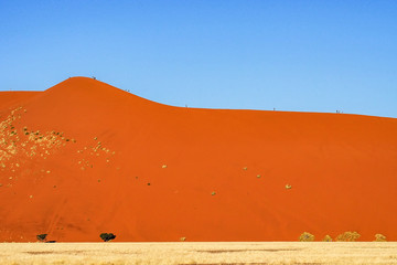 Fototapeta na wymiar Namibia - Sossusvlei