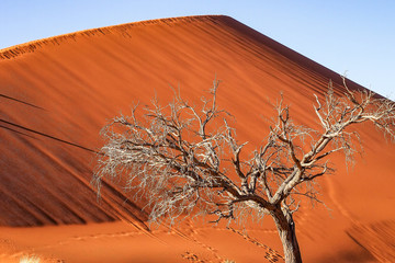 Namibia - Sossusvlei