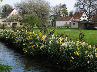 Fototapete bei efototapeten.de bestellen   