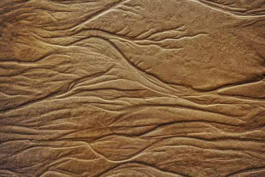 Texture of wet golden sea sand with traces of  water