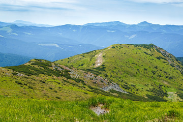 Carpathian mountains landscape. Green slopes along mountain ridge.