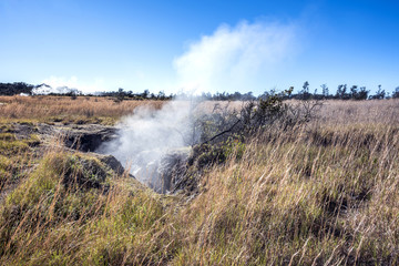 Volcanic Steam Vent in Hawaii