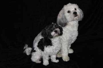 Einer kleiner als der Andere