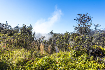Fototapeta na wymiar Volcanic Steam Vent in Hawaii