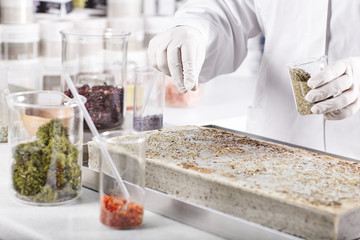 Research worker in laboratory standing against laboratory background surrounded with glass beakers filled with different seeds planting vegetation in big container. Research and laboratory concept