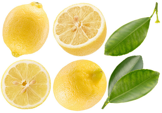collection of lemons isolated on a white background