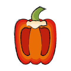 pepper vegetable half vector icon illustration graphic design