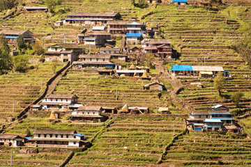 Tarasowe uprawy i domy na wzgórzach Himalajów.
