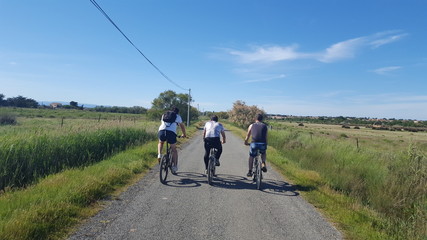 Velo