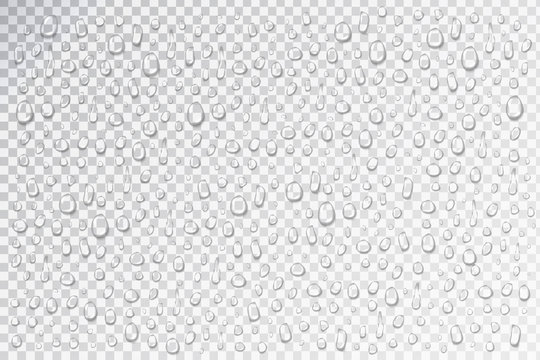 Vector set of realistic isolated water droplets on the transparent background.