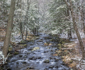 Harriman State Park, New York State