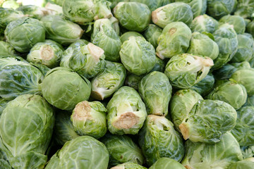 Fototapeta na wymiar Brussels Sprouts