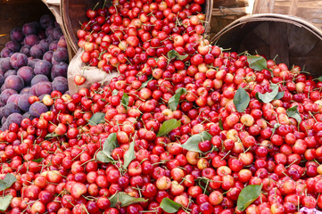 Cherry Abundance