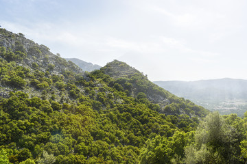 View of the mountains