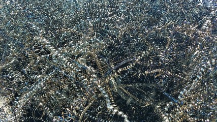 ALUMINUM ALLOYED SHREDZ-2