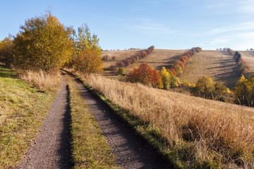 Fototapeta na wymiar Droga przez jesienny krajobraz w słońcu