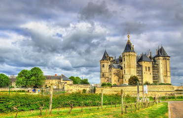 Fototapeta na wymiar Chateau de Saumur in the Loire Valley, France