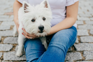 Beautiful young woman playing with her little west highland white terrier in a park outdoors. Lifestyle portrait.
