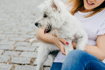 Beautiful young woman playing with her little west highland white terrier in a park outdoors. Lifestyle portrait.