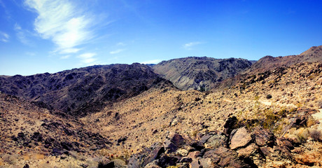 Barren Desert Landscape of Joshua Tree National Park