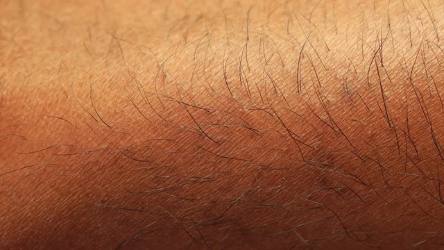 Close up of Human Skin Texture 
