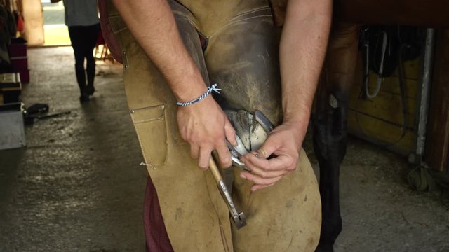 SLOW MOTION, CLOSE UP: Unrecognizable blacksmith horseshoeing a horse, placing shoe on horse's hoof and nailing it on using hammer. A farrier working in the stable barn shoeing obedient stallion