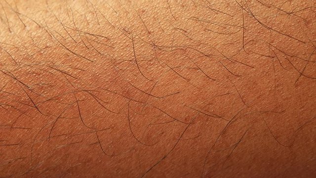 Close up of Human Skin Texture 
