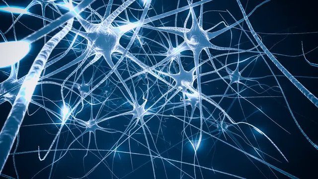 Neurons in brain. Loop. 3D animation of neural network.