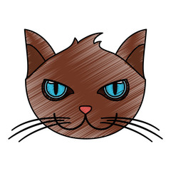 color pencil cartoon front view face cat animal vector illustration