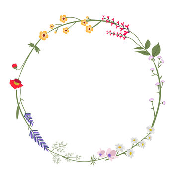 Round Wild Flower Vector Illustration