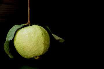 Guava