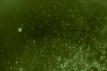 Bokeh Background Very dark green.