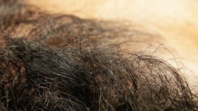 Close up of Human Skin Texture 
