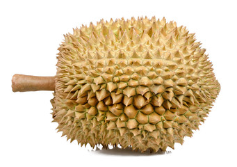 Durian isolated on the white background
