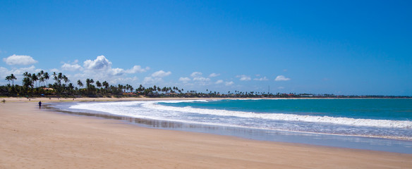 Fototapeta premium Panorama of a tropical beach at Pernambuco, Brazil