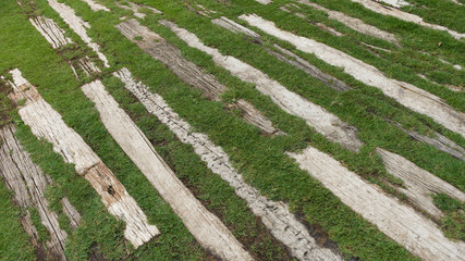 green wooden grass pathway in garden / green pathway