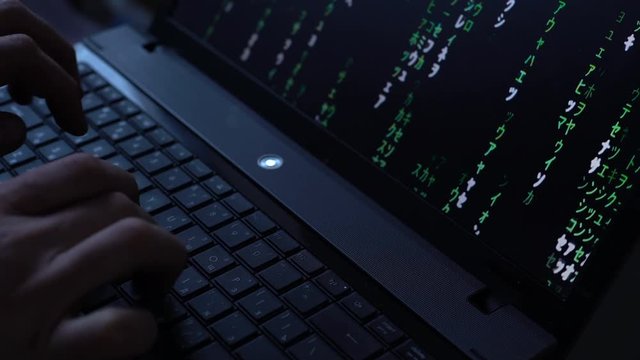 Hacker, Programmer, With the help of the Keyboard, Use the Program code on the Computer for exposure, hacking, protection, Online, Offline, Security Internet, with the Matrix Effect. Trojan Virus.