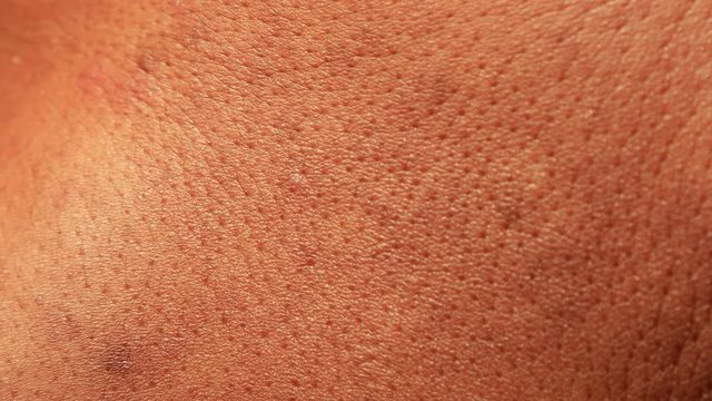 Close up of Human Skin Texture 
