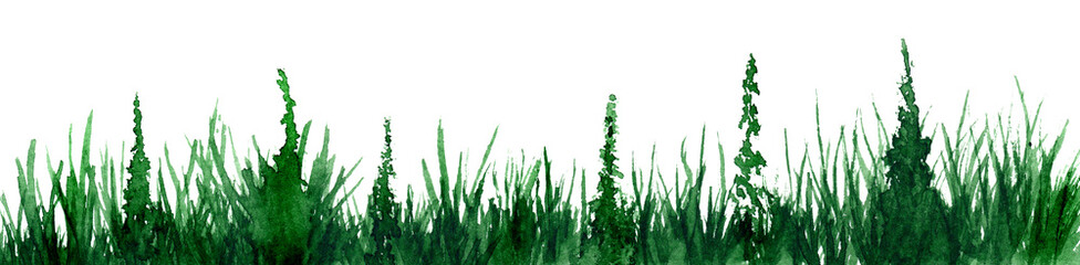 green grass in watercolor