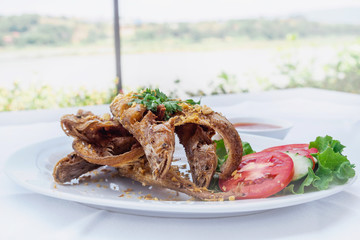 Fried whisker Sheatfish