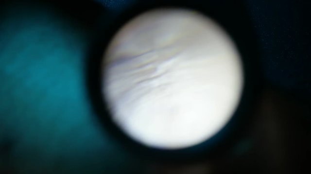 Close up of Human Skin Texture 
