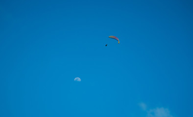 The Wild Blue Yonder