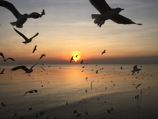 Sunset Beach in evening