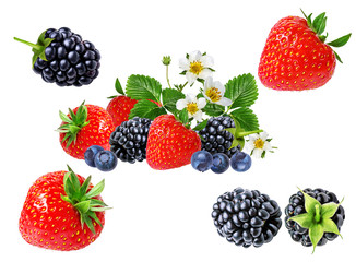 Fototapeta na wymiar strawberry and blackberry isolated on white