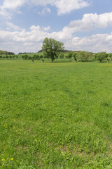 Landschaft im Sommer